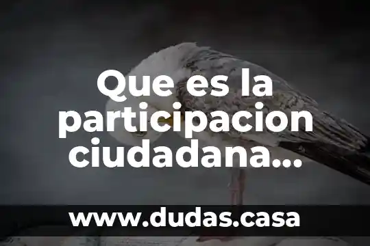 Que es la participacion ciudadana definicion ziccardi