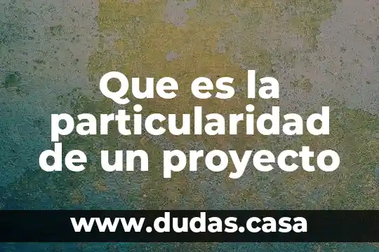 Que es la particularidad de un proyecto