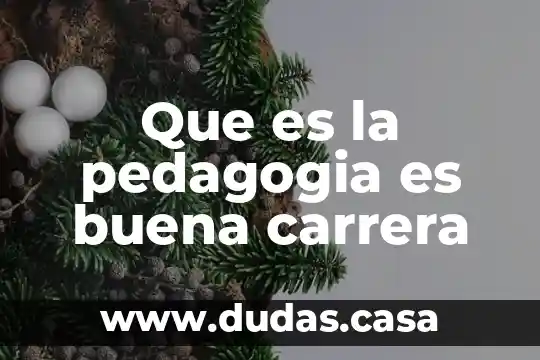 Que es la pedagogia es buena carrera