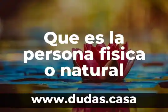 Que es la persona fisica o natural