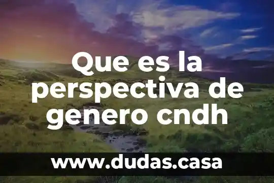 Que es la perspectiva de genero cndh