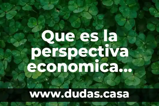Que es la perspectiva economica bruta