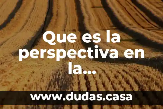 Que es la perspectiva en la comunicacion