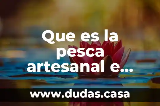 Que es la pesca artesanal e industrial