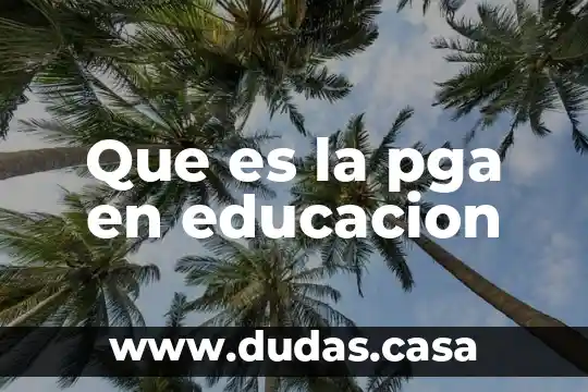 Que es la pga en educacion