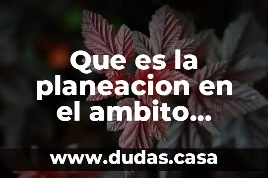 Que es la planeacion en el ambito educativo