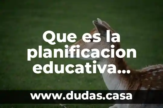 Que es la planificacion educativa segun autores
