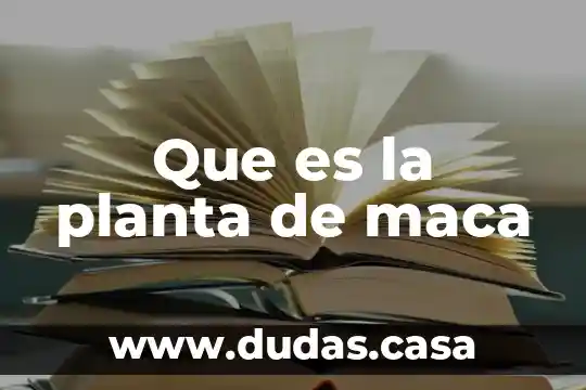 Que es la planta de maca