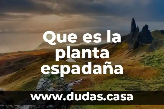 Que es la planta espadaña