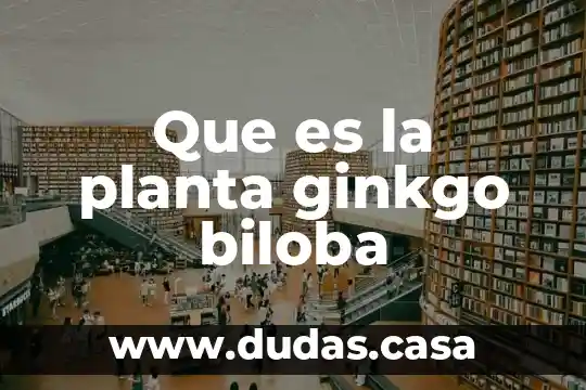 Que es la planta ginkgo biloba