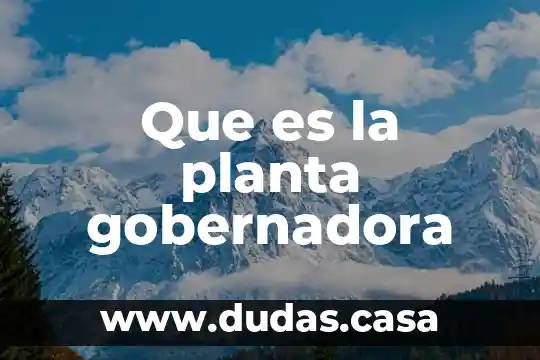 Que es la planta gobernadora