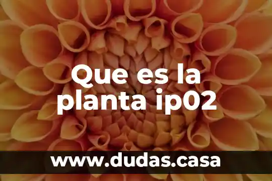 Que es la planta ip02