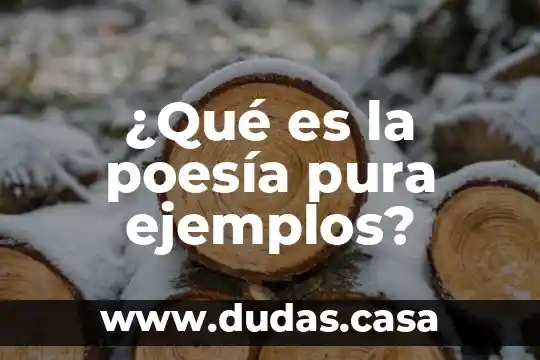¿Qué es la poesía pura ejemplos?