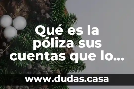 Qué es la póliza sus cuentas que lo integran