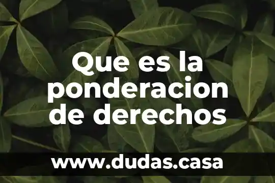 Que es la ponderacion de derechos