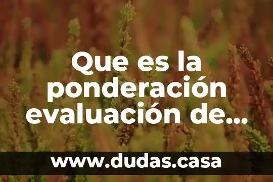 Que es la ponderación evaluación de proyectos