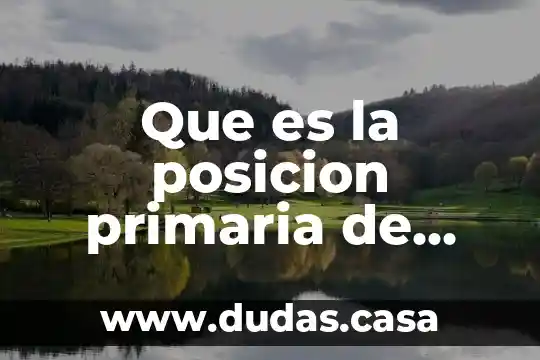 Que es la posicion primaria de mirada