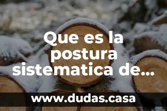 Que es la postura sistematica de la accion