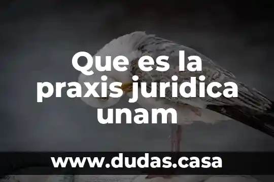 Que es la praxis juridica unam