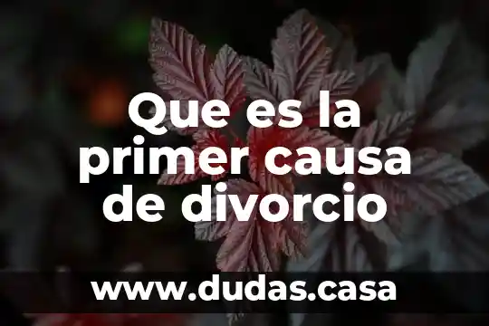 Que es la primer causa de divorcio
