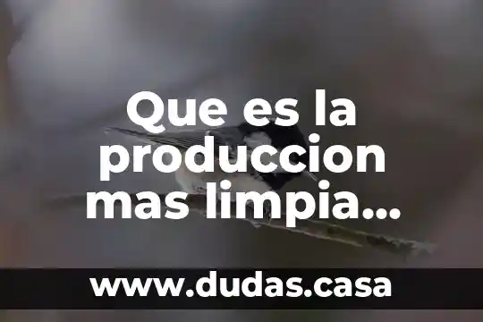 Que es la produccion mas limpia yahoo