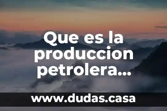 Que es la produccion petrolera publica