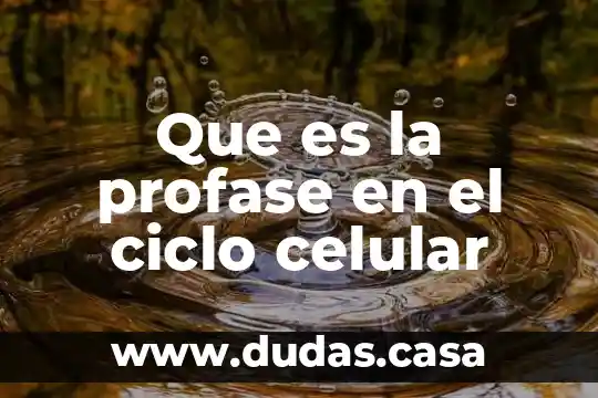 Que es la profase en el ciclo celular