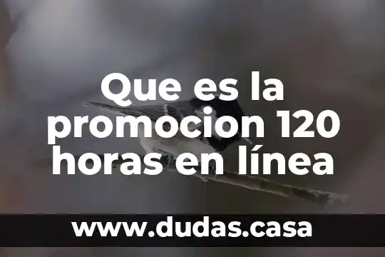 Que es la promocion 120 horas en línea
