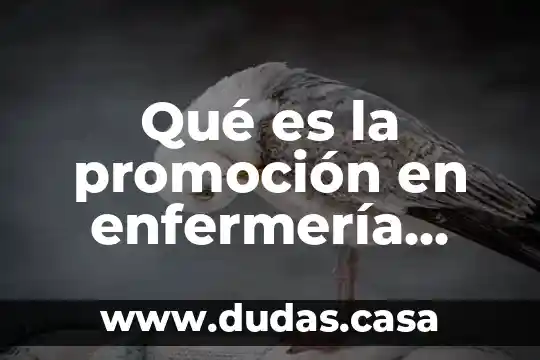 Qué es la promoción en enfermería atención primaria a la salud