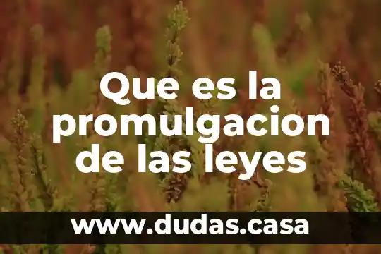 Que es la promulgacion de las leyes
