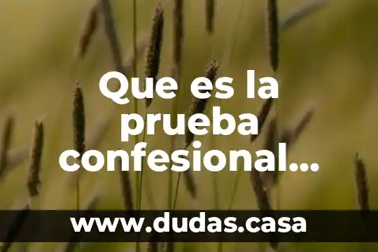 Que es la prueba confesional ficta