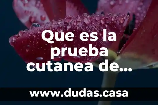 Que es la prueba cutanea de tuberculina