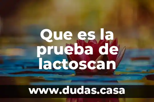 Que es la prueba de lactoscan
