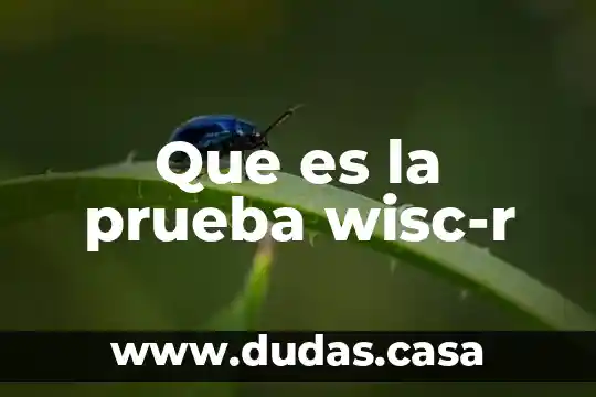 Que es la prueba wisc-r