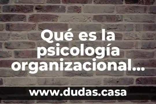 Qué es la psicología organizacional según c