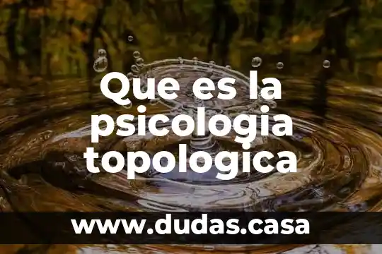Que es la psicologia topologica