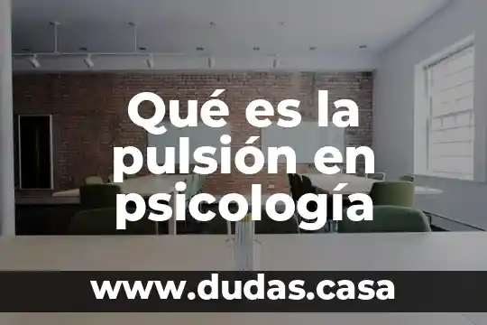 Qué es la pulsión en psicología