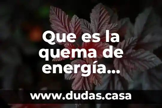 Que es la quema de energía concepto