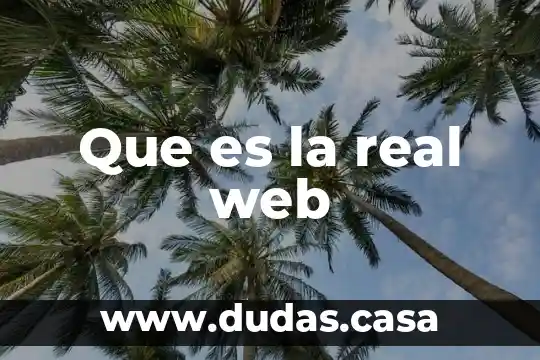 Que es la real web