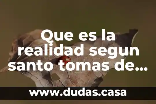 Que es la realidad segun santo tomas de aquino