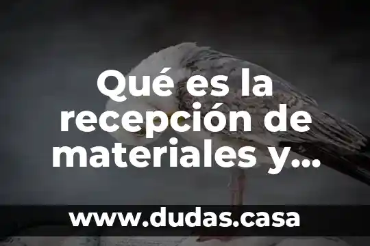 Qué es la recepción de materiales y ejemplo