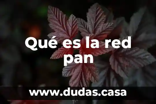 Qué es la red pan