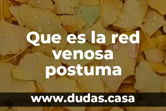 Que es la red venosa postuma