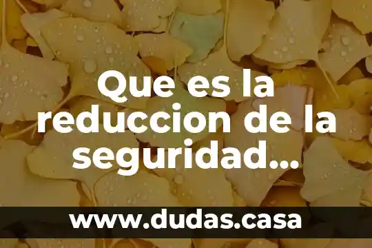 Que es la reduccion de la seguridad informatica