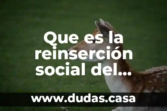 Que es reinserción en derecho penal 4 Que es la reinserción social del delincuente