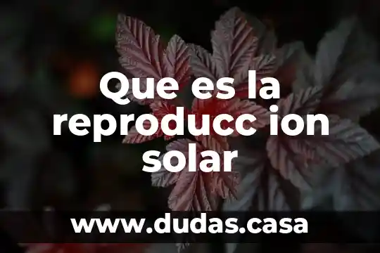 Que es la reproducc ion solar
