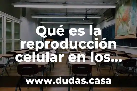 Qué es la reproducción celular en los organismos vivos