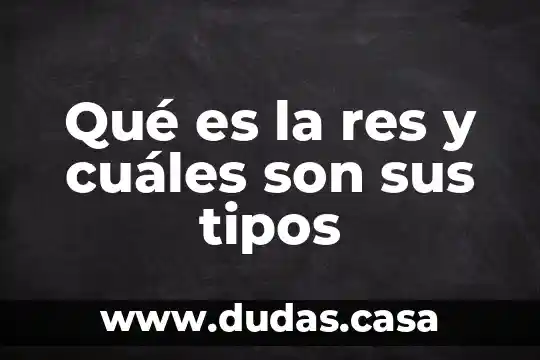 Qué es la res y cuáles son sus tipos
