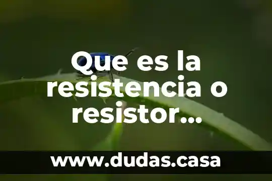 Que es la resistencia o resistor electrica