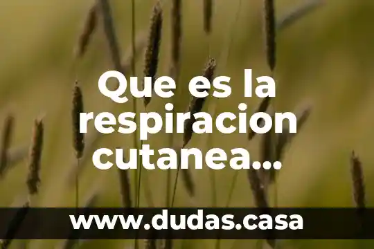 Que es la respiracion cutanea resumen